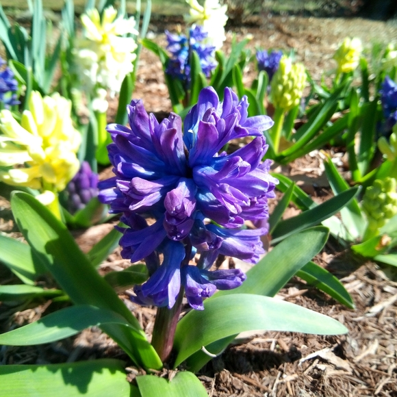 Meet the Posher, Jennifer - Picture 5 of 6